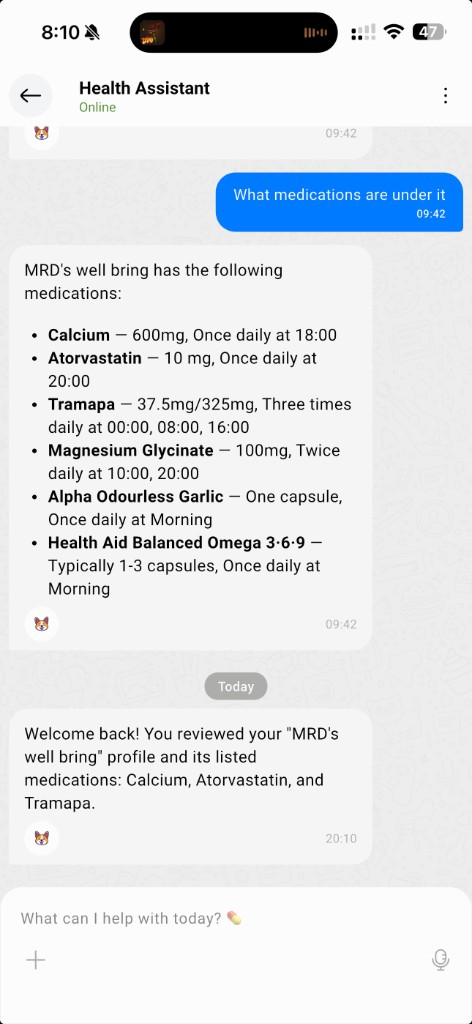 Don'tForgetDad AI Health Assistant chat — asking about medications and receiving a personalized summary